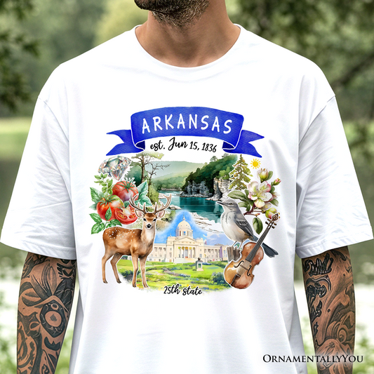 Artistic Arkansas State Themes and Landmarks T-Shirt, Tee for History and Travel Lovers