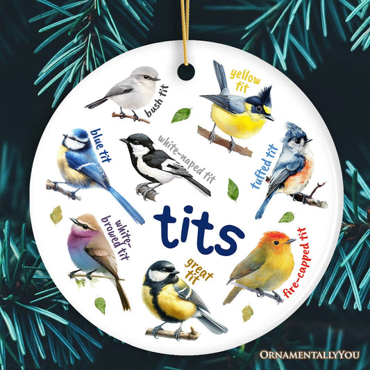 Whimsical Bird Tit Ceramic Ornament, Funny Birdwatcher Gift for Birder