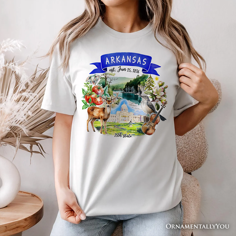 Artistic Arkansas State Themes and Landmarks T-Shirt, Tee for History and Travel Lovers
