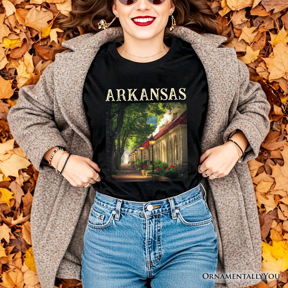Vintage Arkansas State Hot Springs T-Shirt, Bathhouse Row Tee and Scenic Landmark Keepsake Souvenir