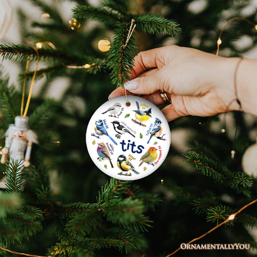Whimsical Bird Tit Ceramic Ornament, Funny Birdwatcher Gift for Birder