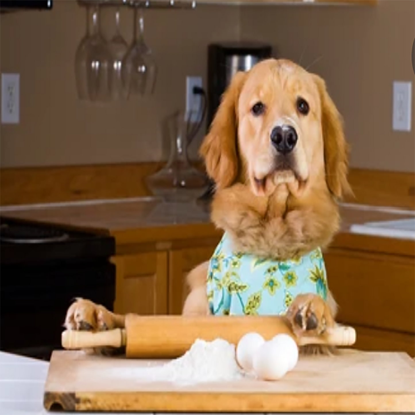 Macarons Organic Dog Treats