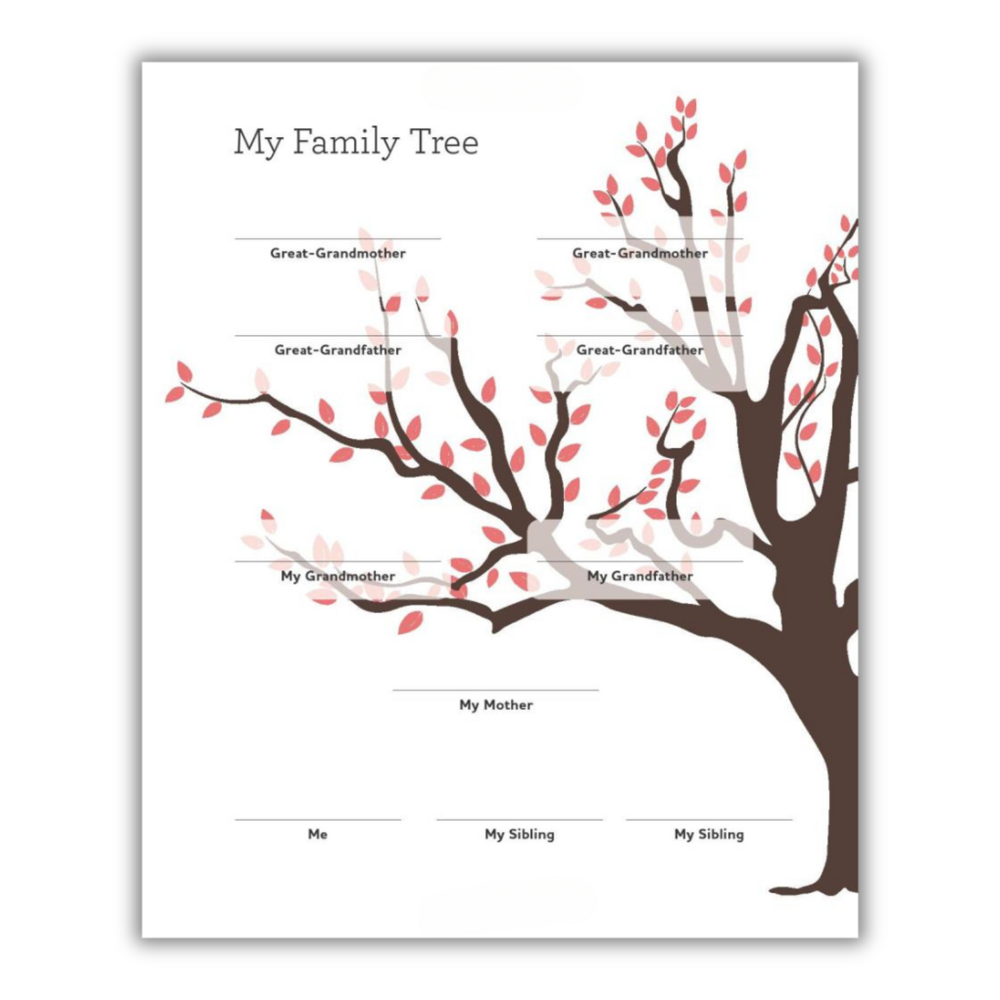 Grandmother's Journal: Memories and Keepsakes for My Grandchild (Spiral Bound)