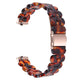 tortoise shell
