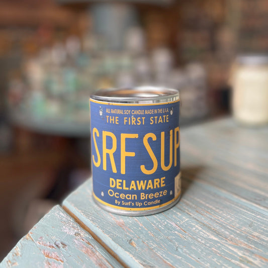 Delaware License Plate Ocean Breeze Paint Can Candle