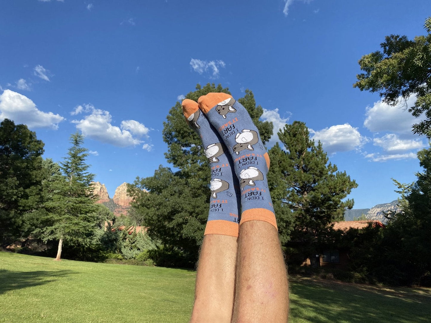 Men's  Not A Fart Socks