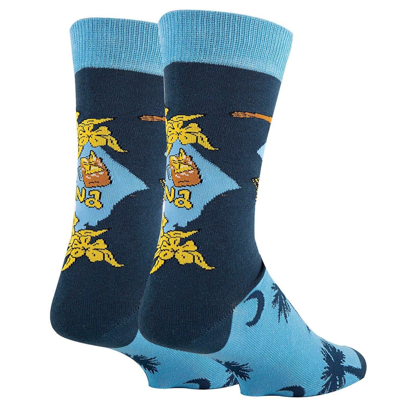 Men's  South Carolina Socks