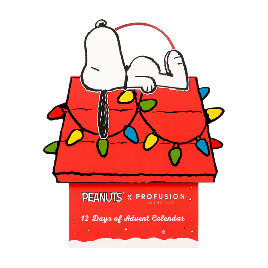 Peanuts Holiday | 12 Days of Advent Calendar