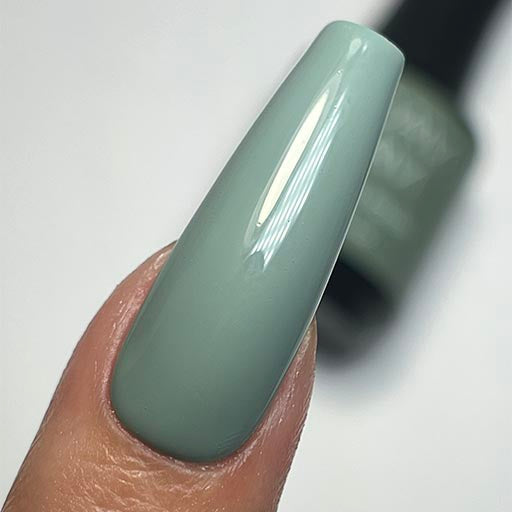 Teal Deal