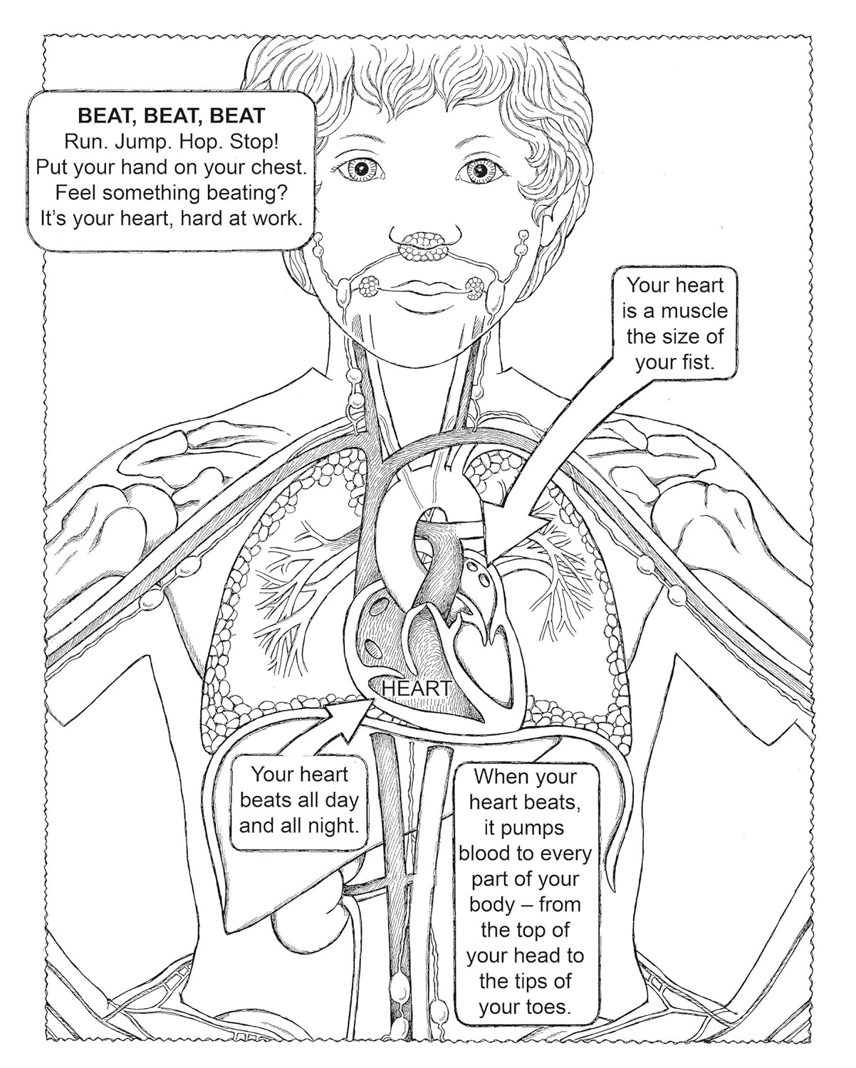 My First Human Body Book (Spiral Bound)