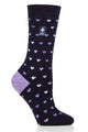Navy/Purple