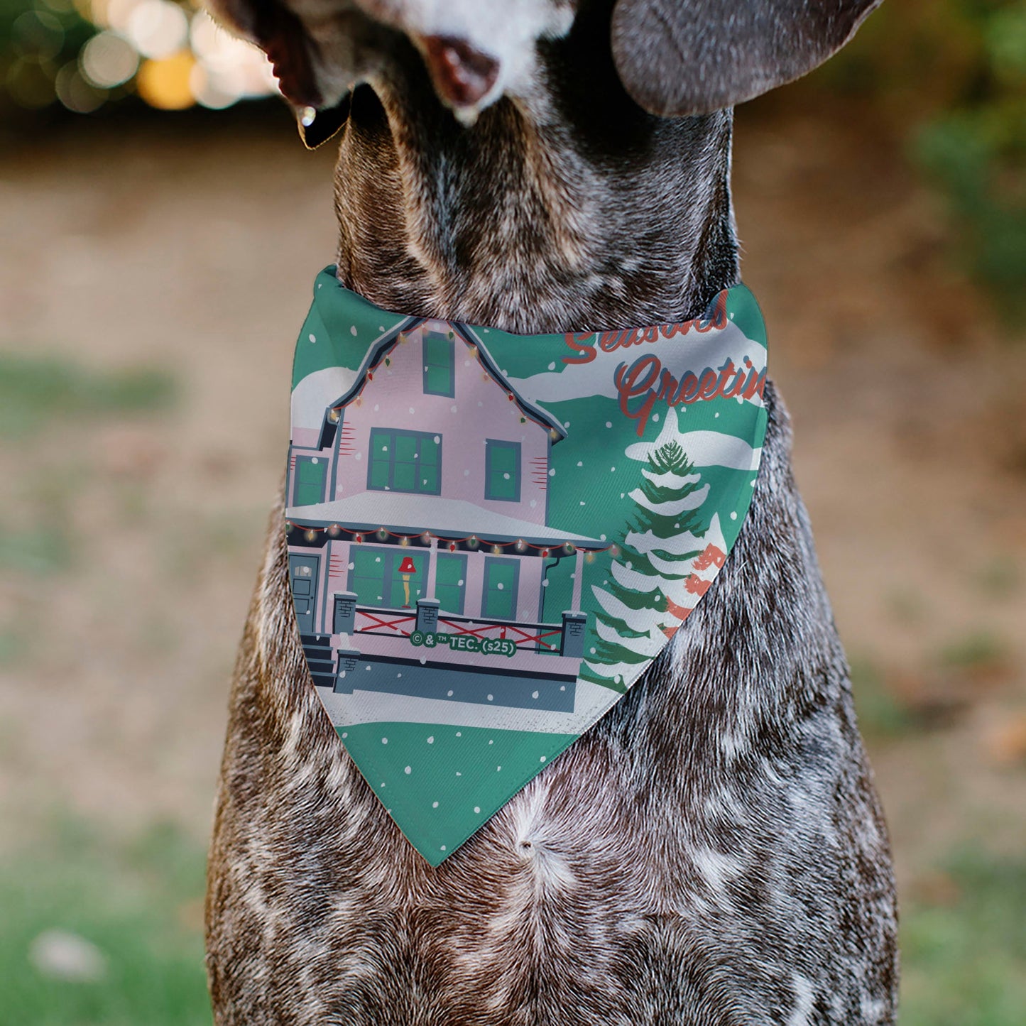 Pet Bandana - A Christmas Story Easter Bunny Ralphie Pose and House Pastels