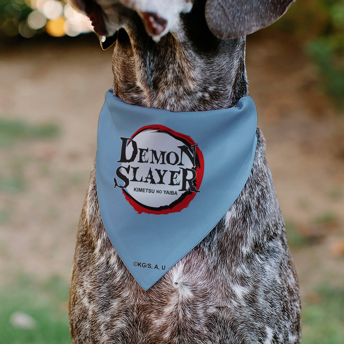 Pet Bandana - Demon Slayer Inosuke Hashibira Beast Breath Pose Chevron Blues