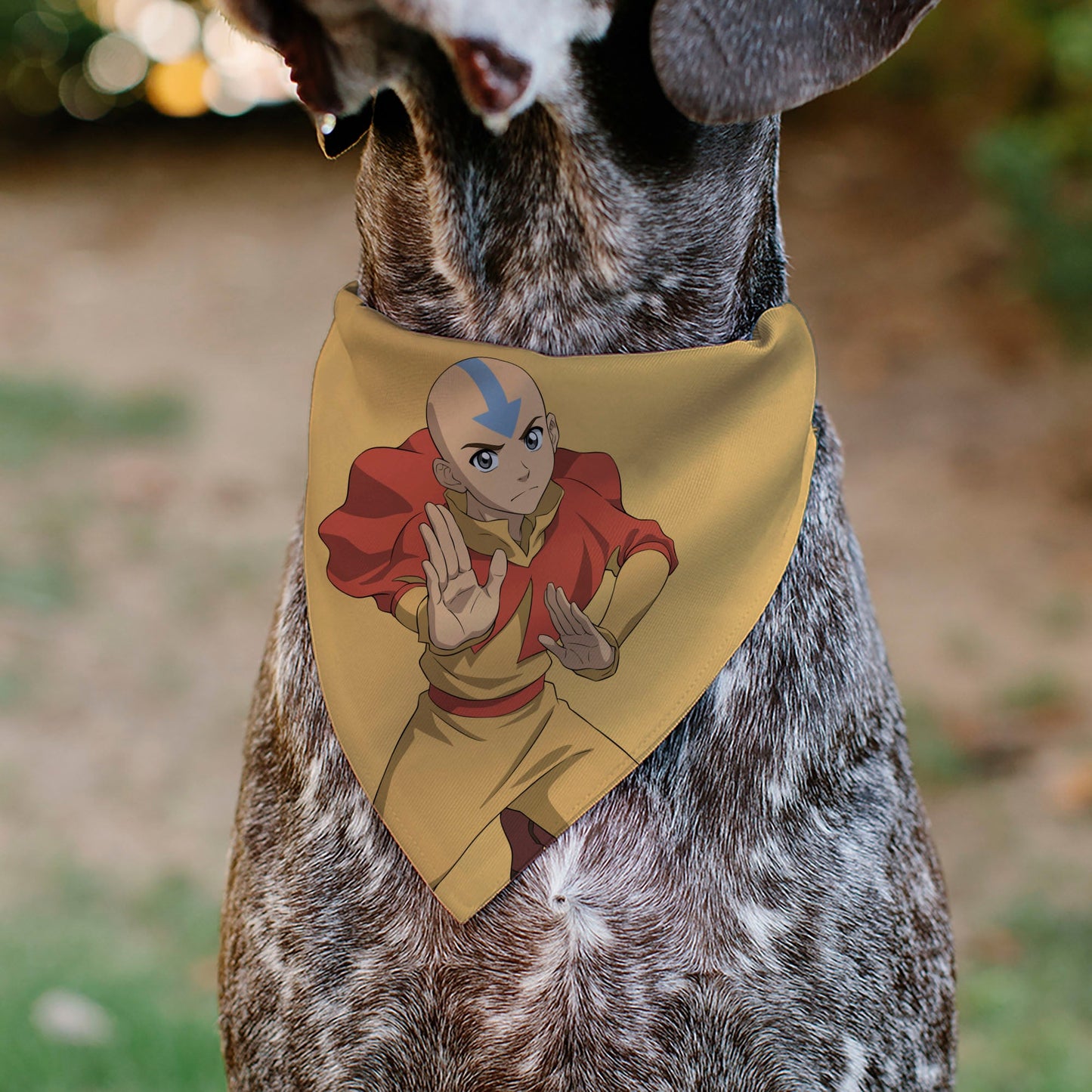 Pet Bandana - AVATAR THE LAST AIRBENDER Action Pose and Title Logo Yellow