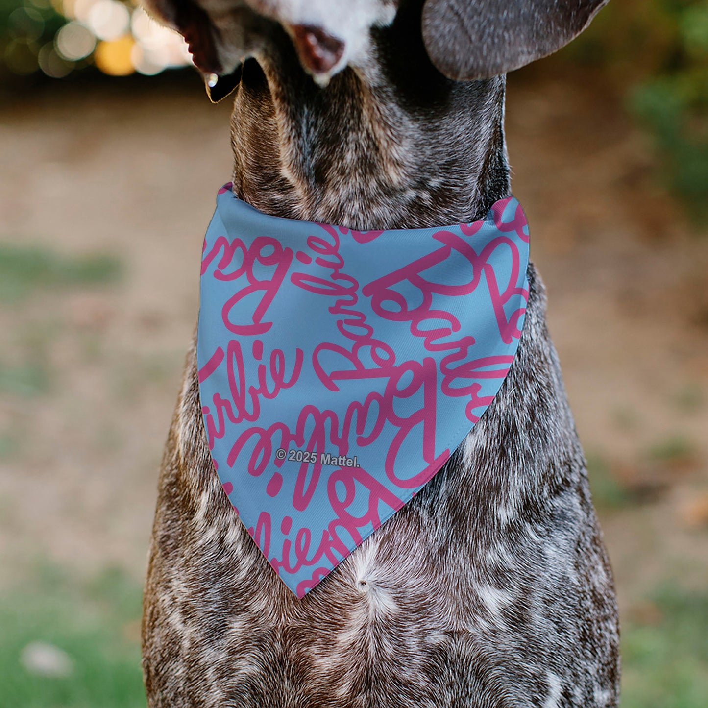 Pet Bandana - BARBIE Autograph Script Scattered Blue/Pink