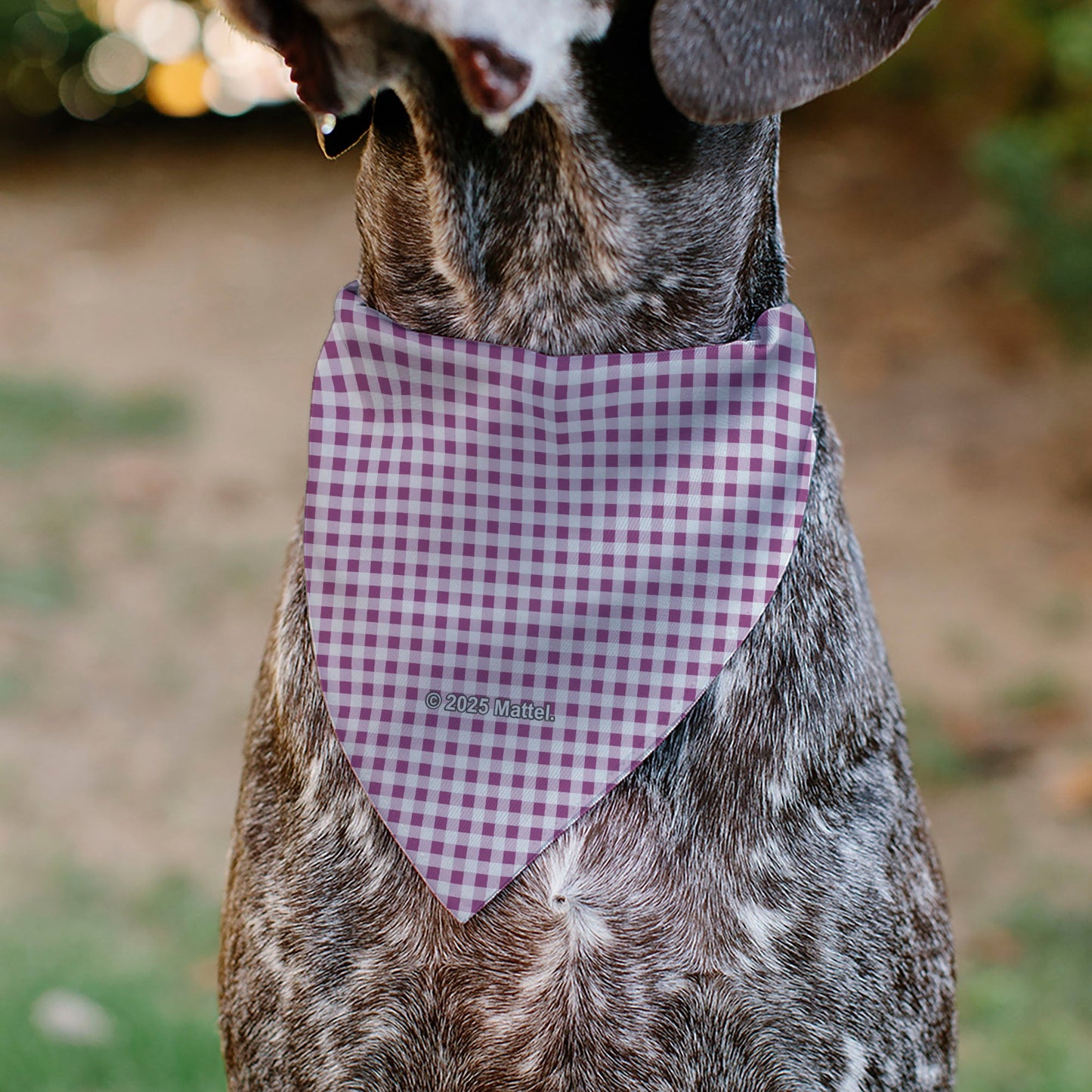 Pet Bandana - BARBIE Heart Text Logo Plaid Pinks