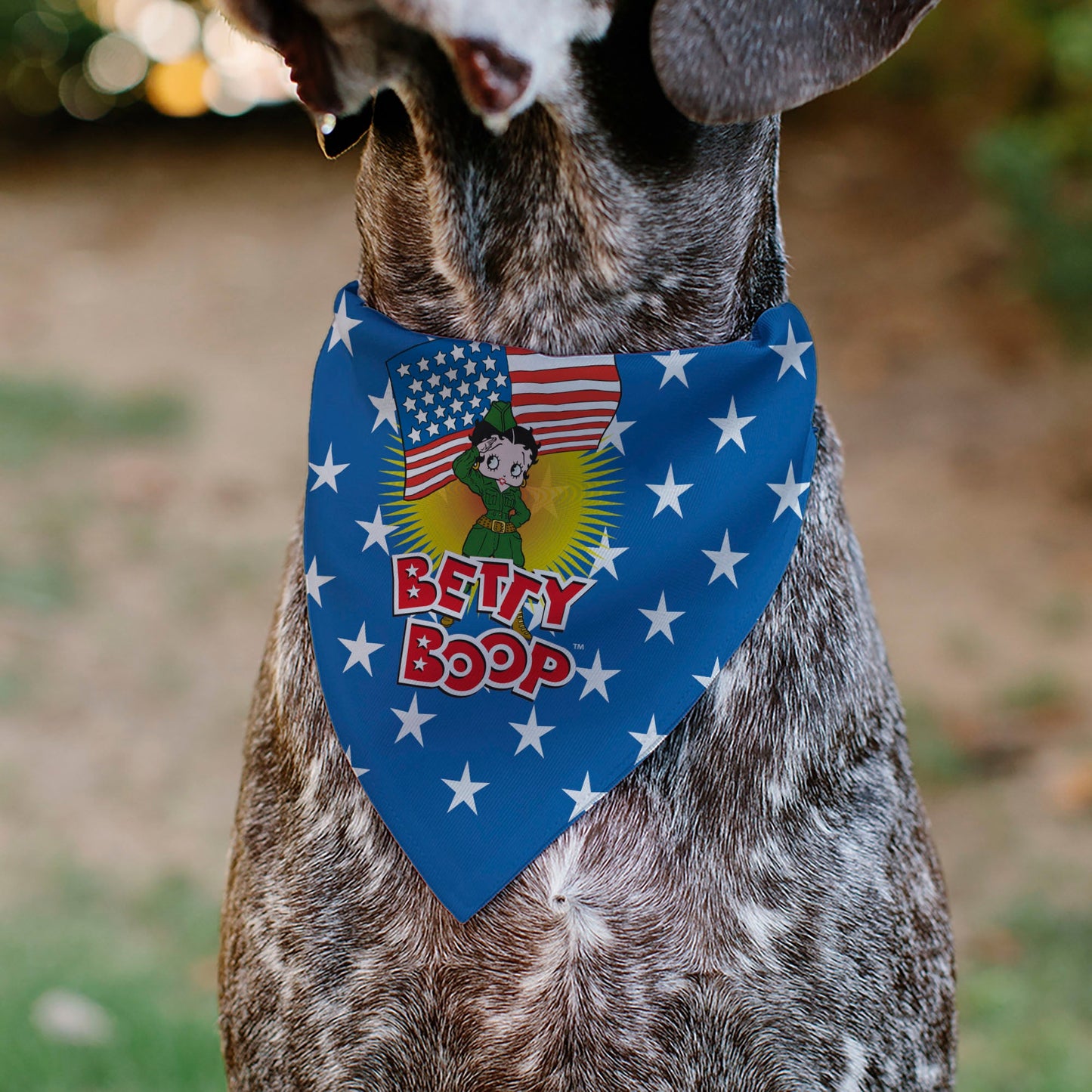 Pet Bandana - Bandana BETTY BOOP Americana Soldier Salute Pose Logo and Stars Blue/White