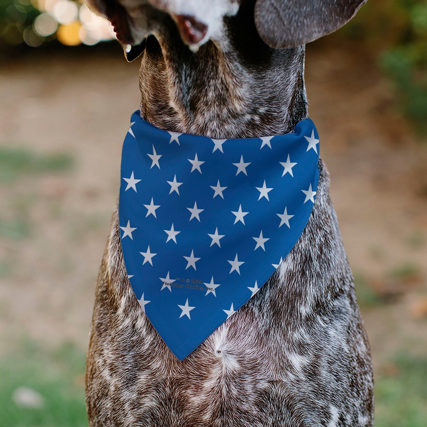 Pet Bandana - Bandana BETTY BOOP Americana Soldier Salute Pose Logo and Stars Blue/White