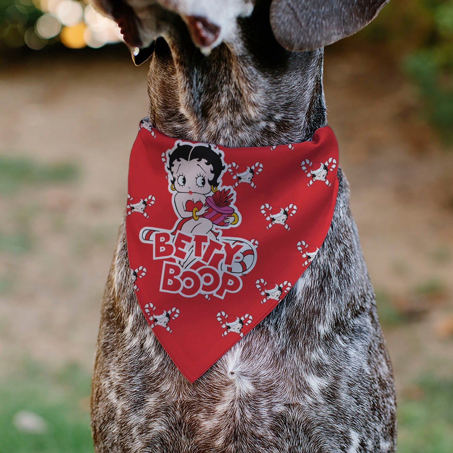 Pet Bandana - Bandana BETTY BOOP Holiday Gift Pose and Santa Betty  Winking Icon Red