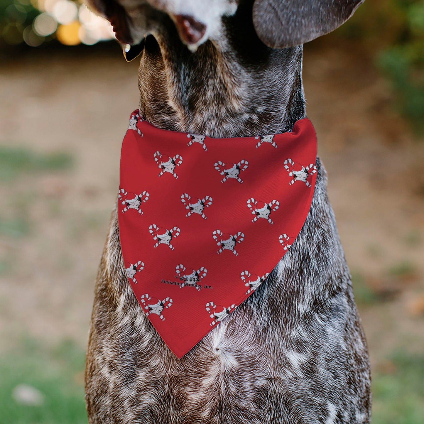 Pet Bandana - Bandana BETTY BOOP Holiday Gift Pose and Santa Betty  Winking Icon Red