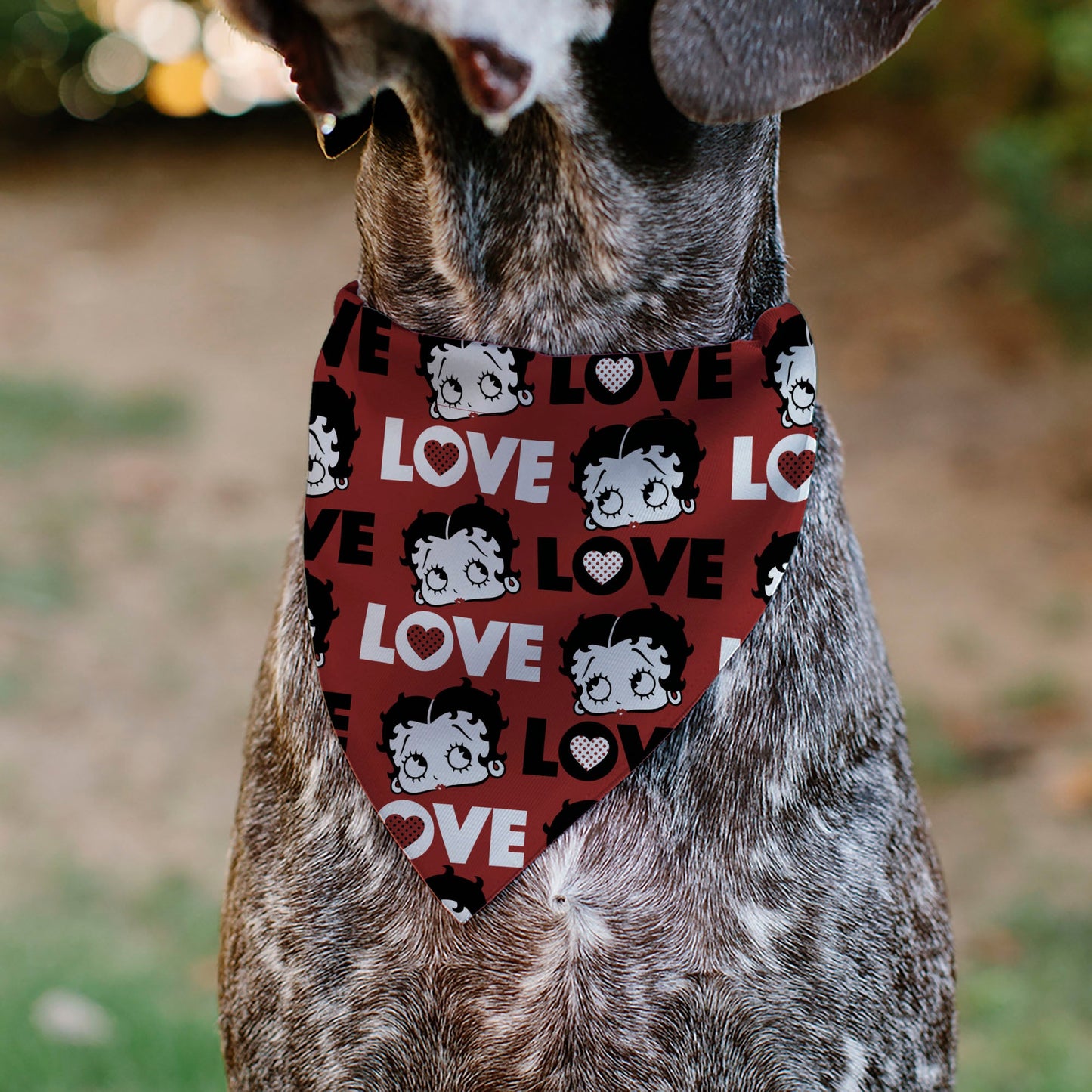 Pet Bandana - Betty Boop LOVE Text and Face Red/Black/White
