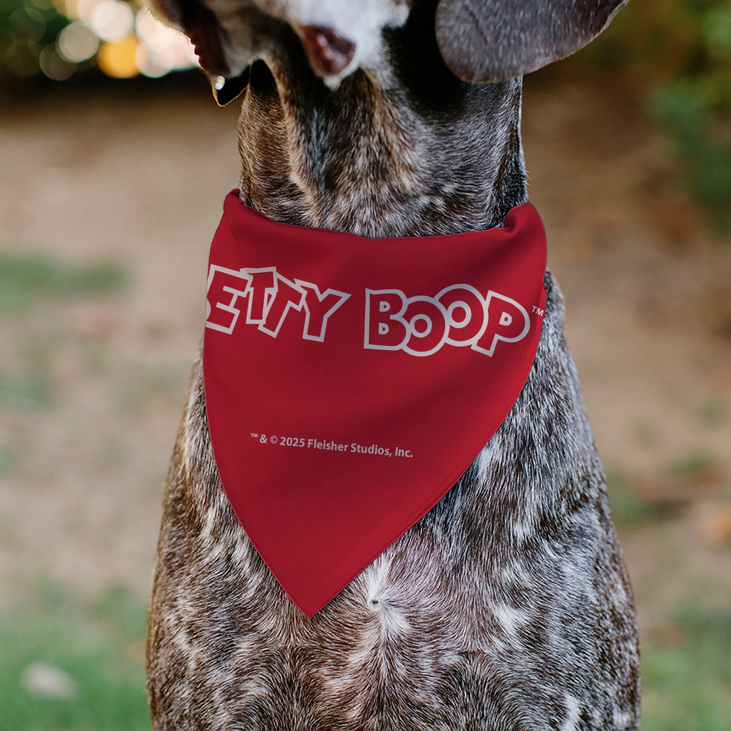 Pet Bandana - Betty Boop USA Heart Pose and Stars White/Red