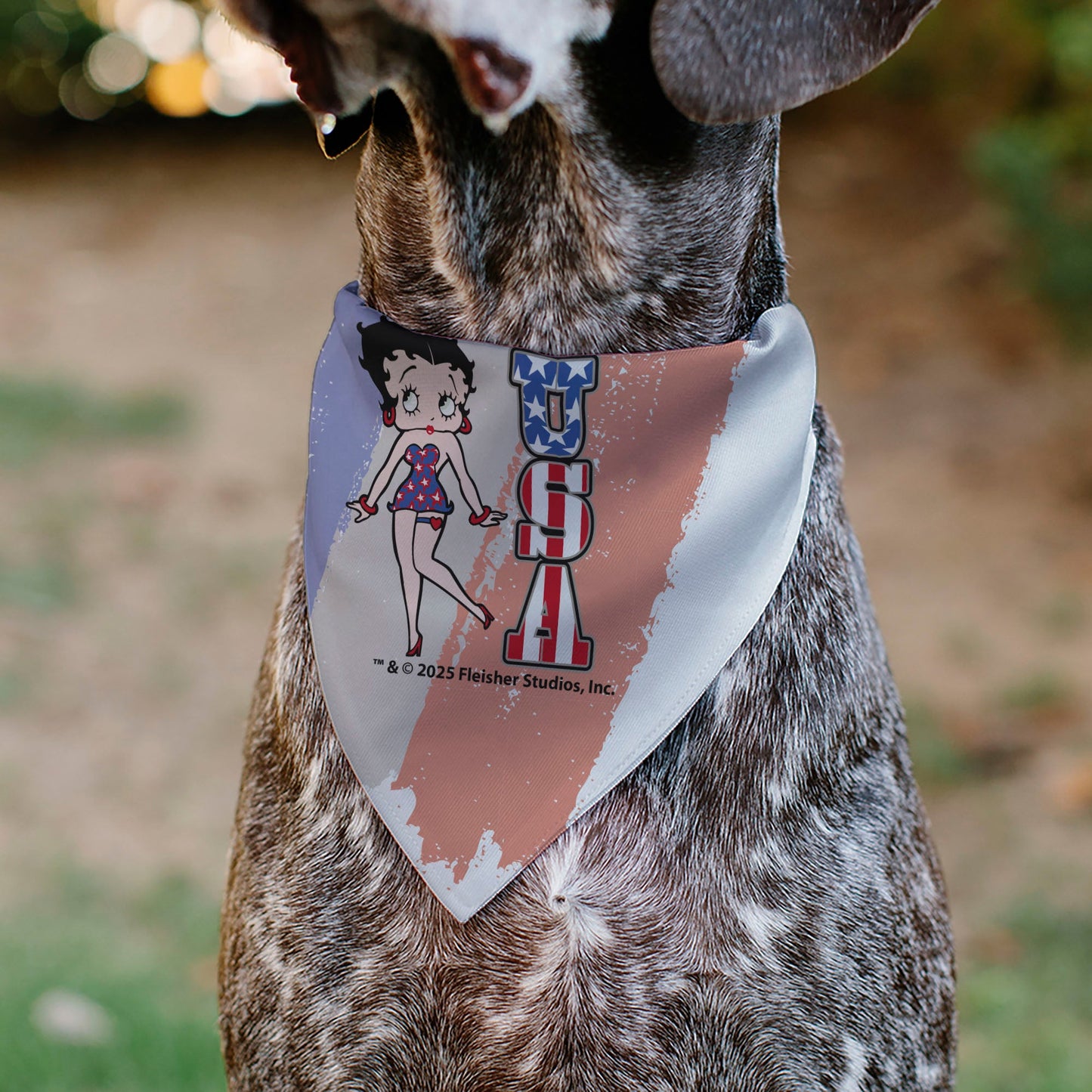 Pet Bandana - Betty Boop USA Stars and Stripes Pose White/Red/Blue