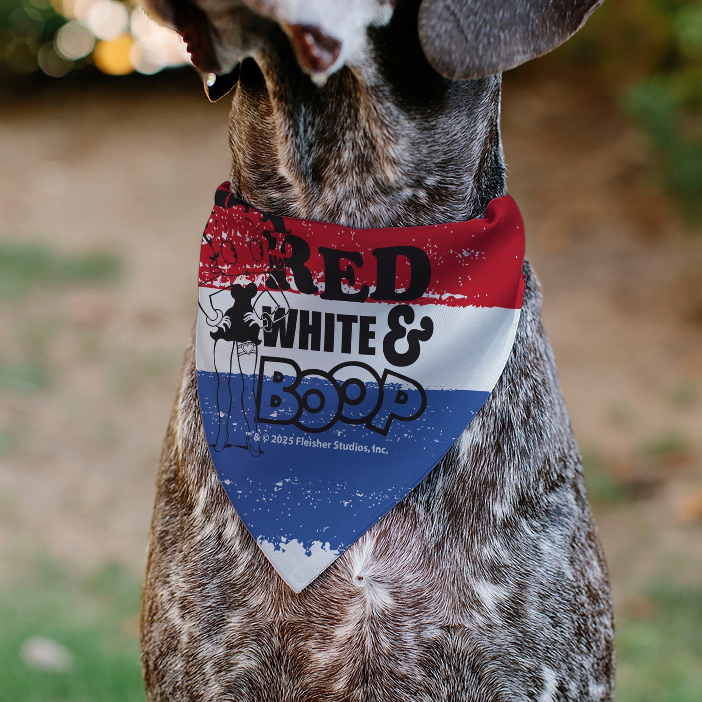 Pet Bandana - Betty Boop RED WHITE & BOOP Stripes Pose White/Red/Blue