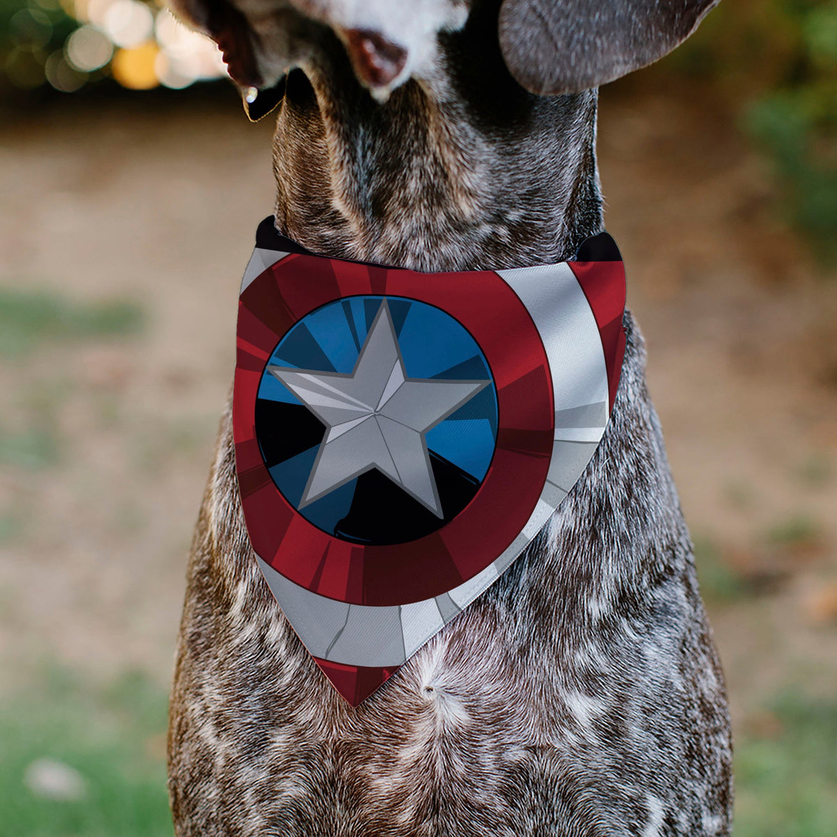 Pet Bandana - Captain America Shield Red/White/Blue