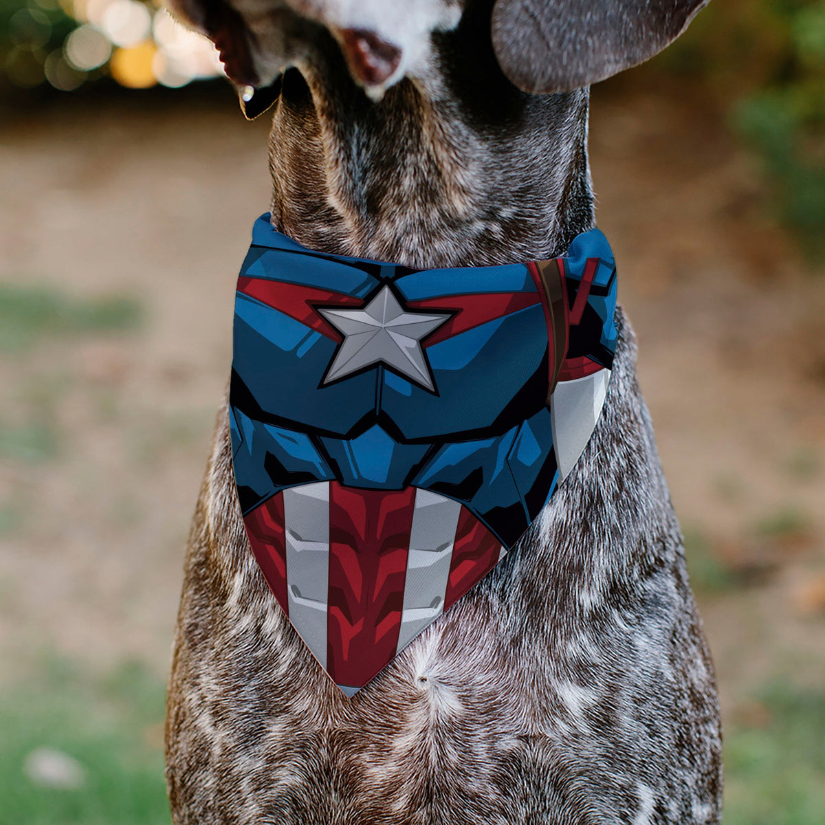 Pet Bandana - Captain America Suit Chest Detail Blue/Red/White