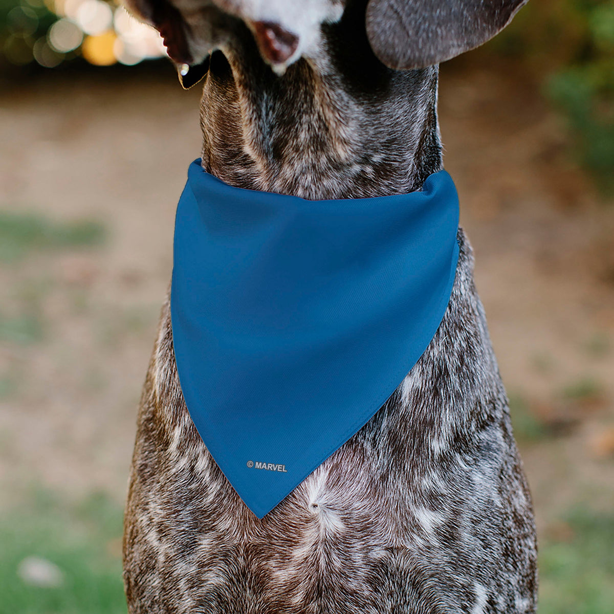Pet Bandana - Captain America Suit Chest Detail Blue/Red/White