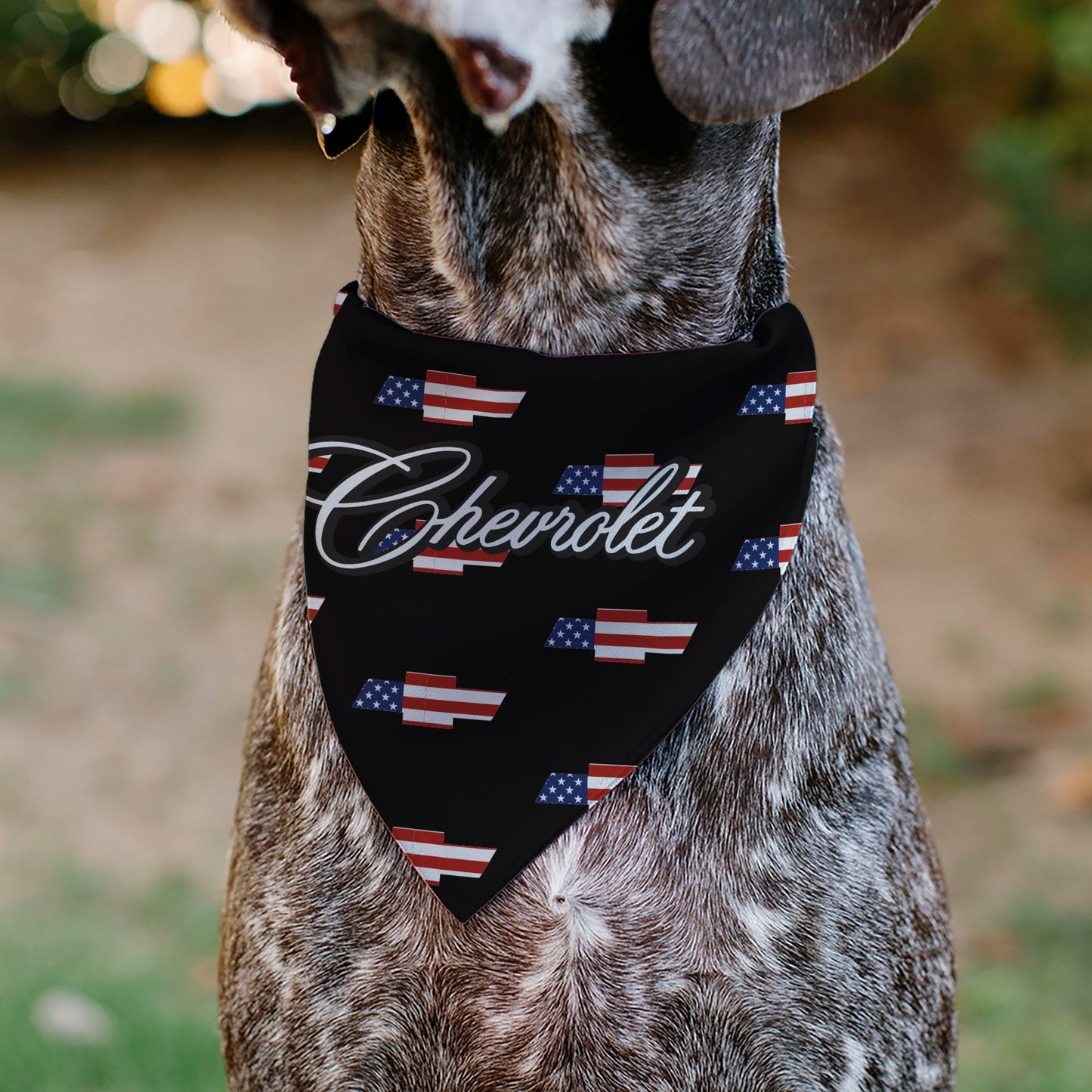 Pet Bandana - CHEVROLET Script and Americana Bowtie Repeat Black