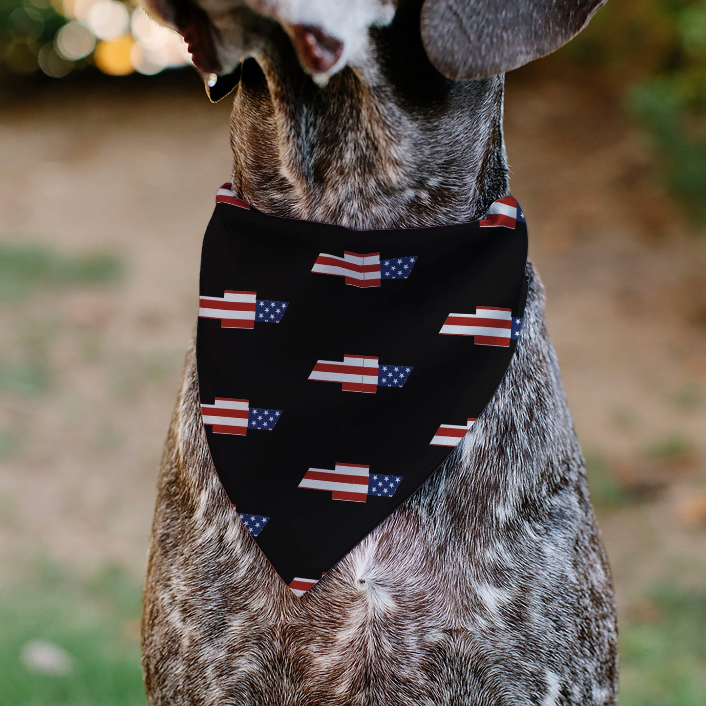 Pet Bandana - CHEVROLET Script and Americana Bowtie Repeat Black