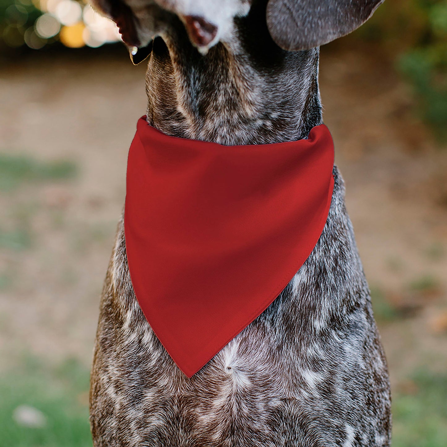 Pet Bandana - CHEVROLET 1940 Bowtie Text Logo Red/White/Blue