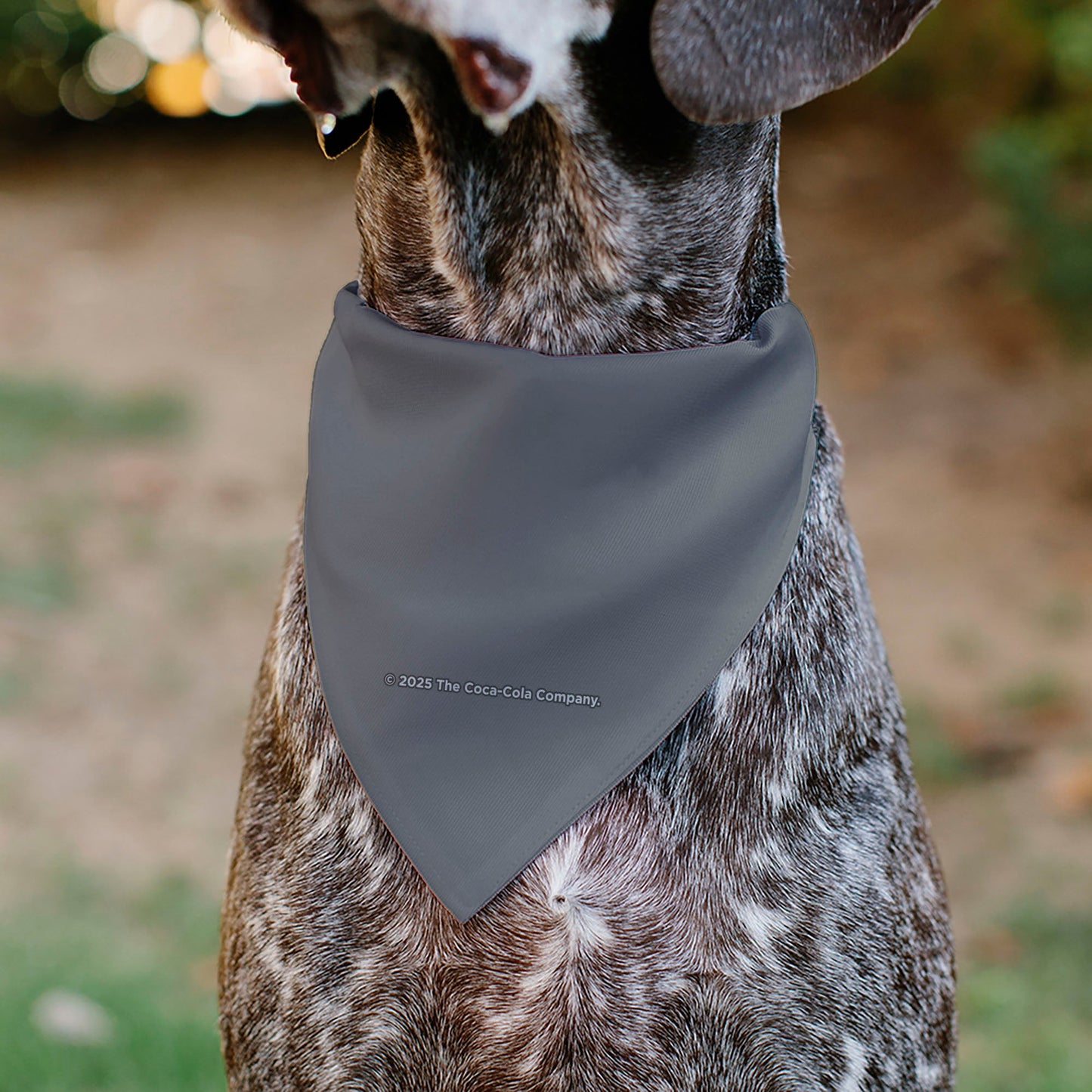Pet Bandana - DIET COKE Logo Gray/Red/White