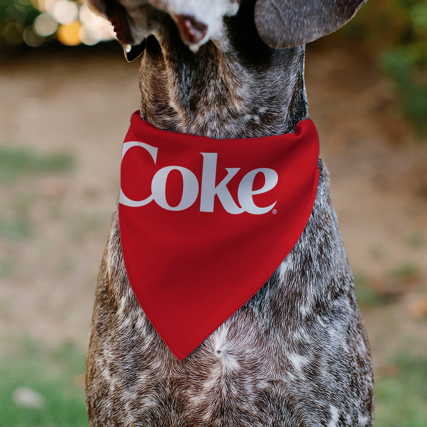 Pet Bandana - Coca-Cola COKE Logo Centered Red/White