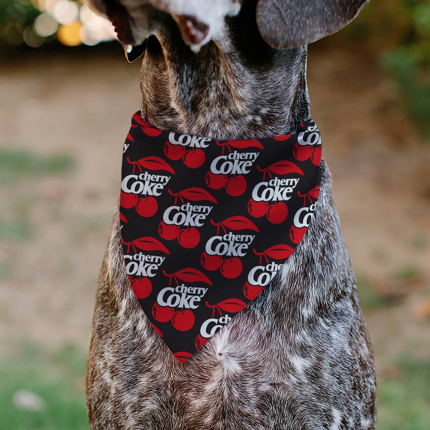 Pet Bandana - CHERRY COKE and Cherries Logo Collage Black/Red/White