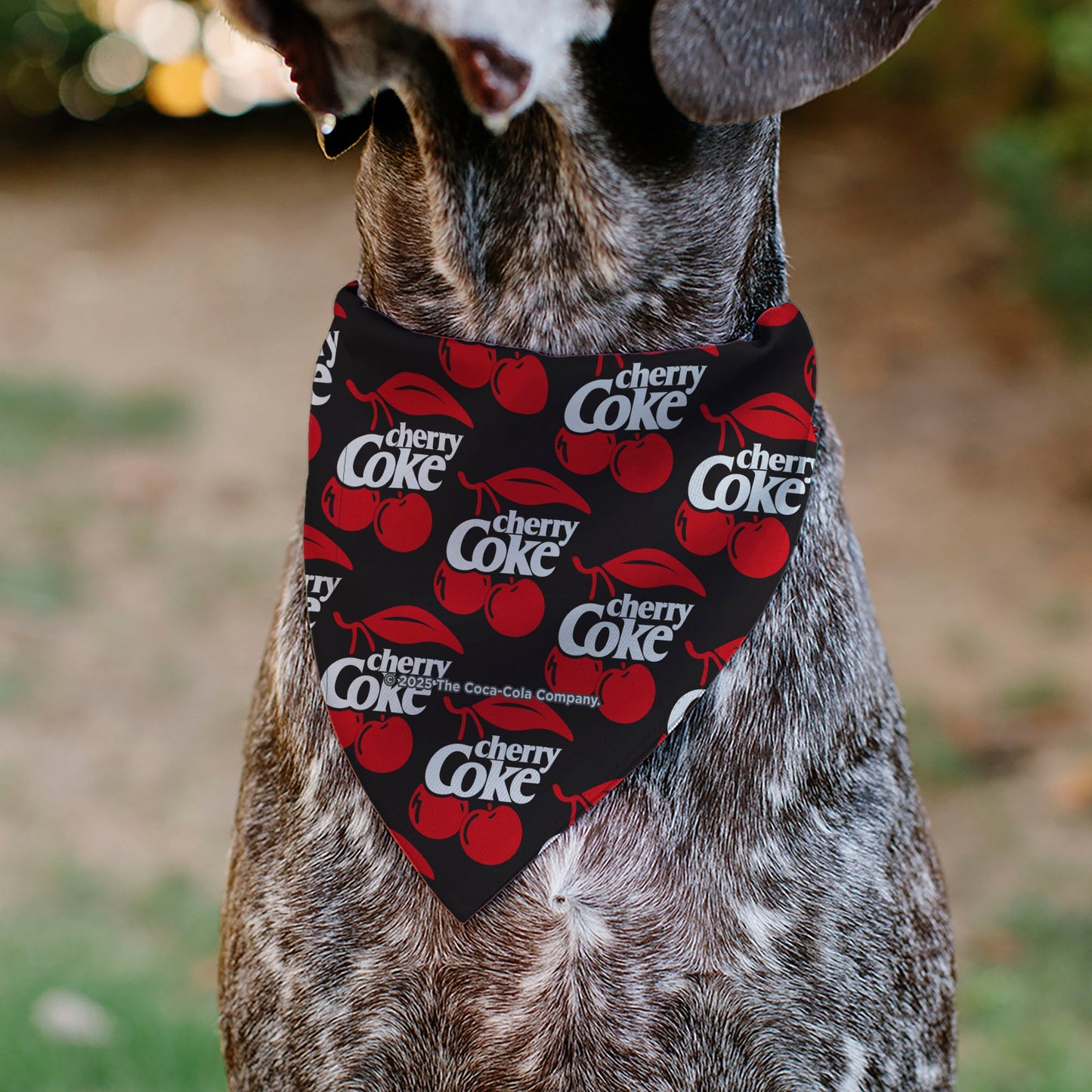 Pet Bandana - CHERRY COKE and Cherries Logo Collage Black/Red/White