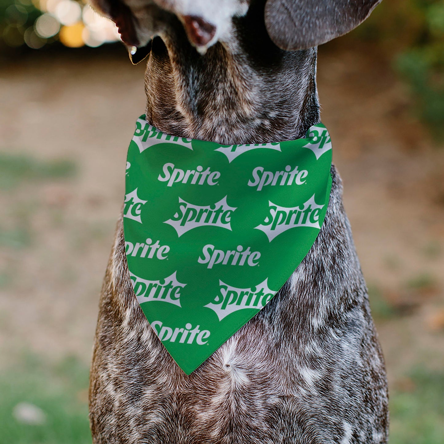 Pet Bandana - SPRITE Logo Repeat Green/White