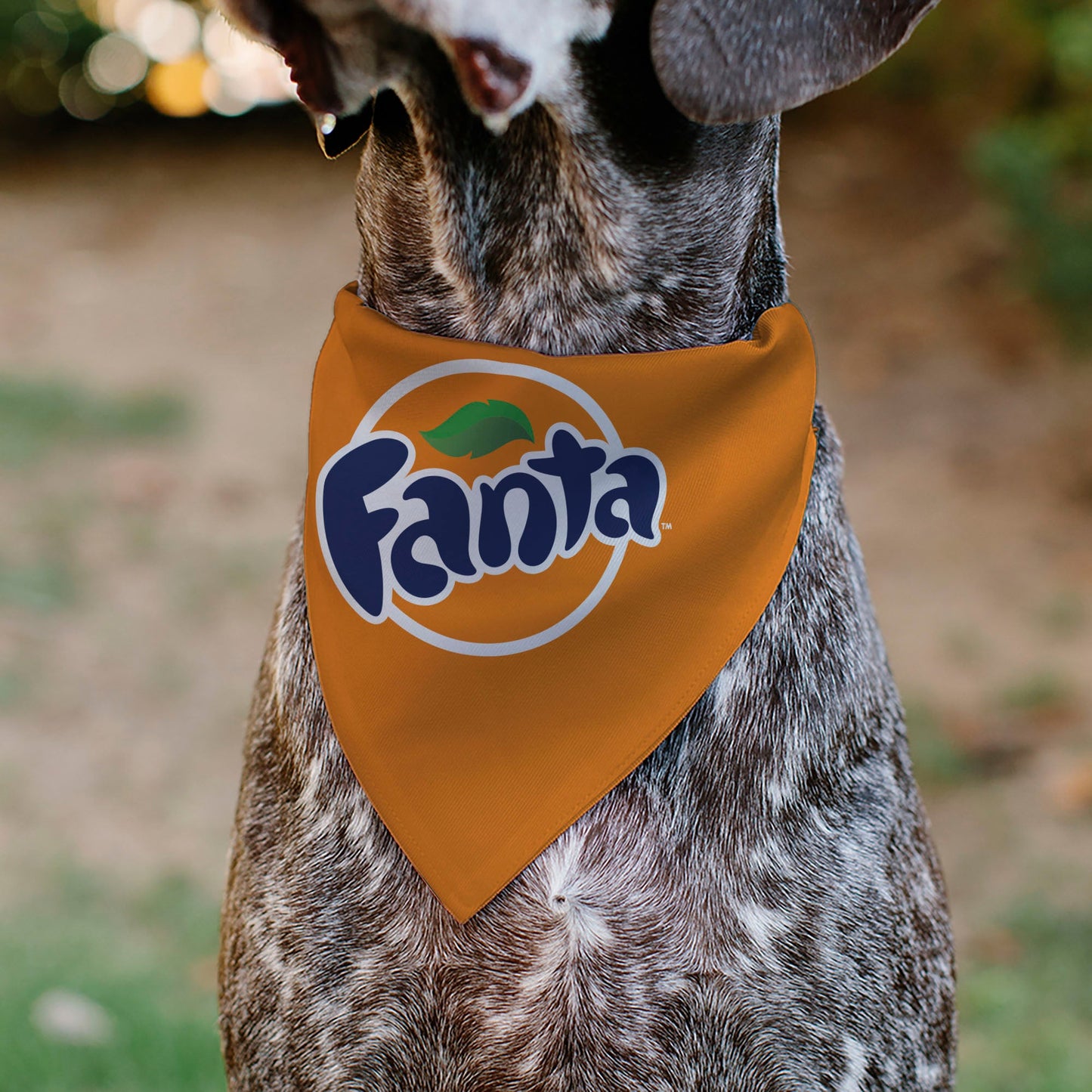 Pet Bandana - FANTA Orange Round Logo Orange/White/Blue