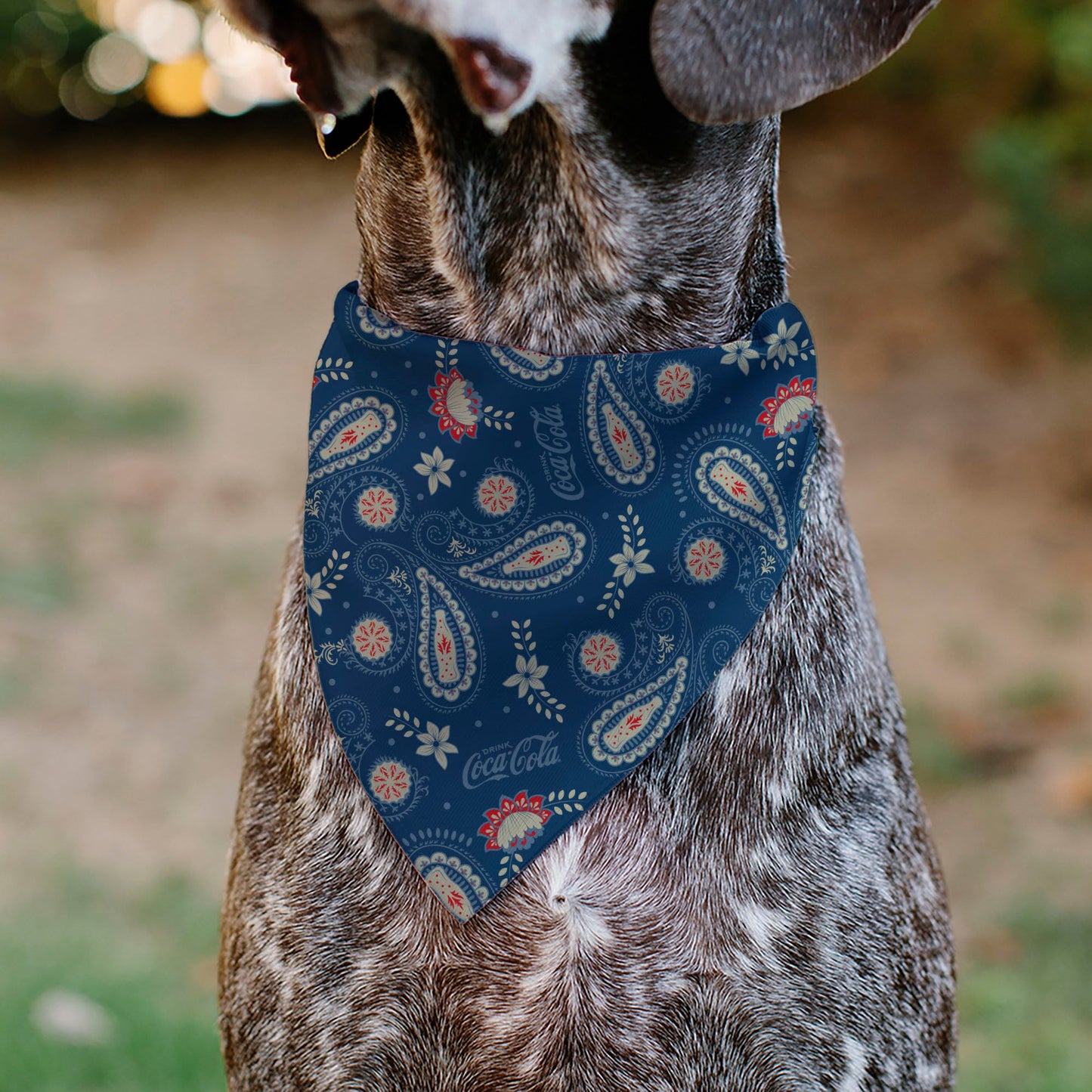 Pet Bandana - COCA-COLA Paisley Bottle Icons Scattered Blues/White/Red