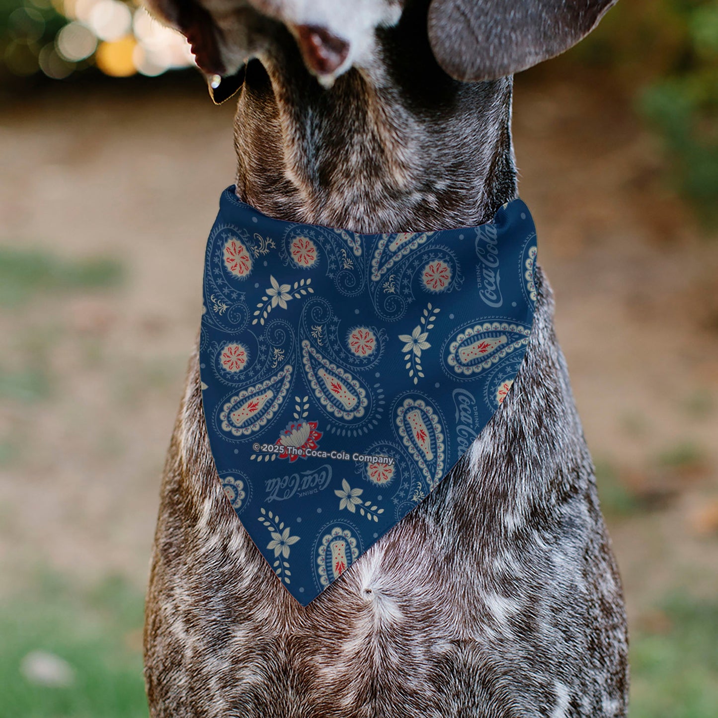 Pet Bandana - COCA-COLA Paisley Bottle Icons Scattered Blues/White/Red