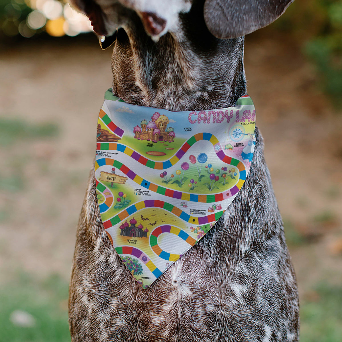 Pet Bandana - CANDY LAND Game Board Game Scenes and Logo