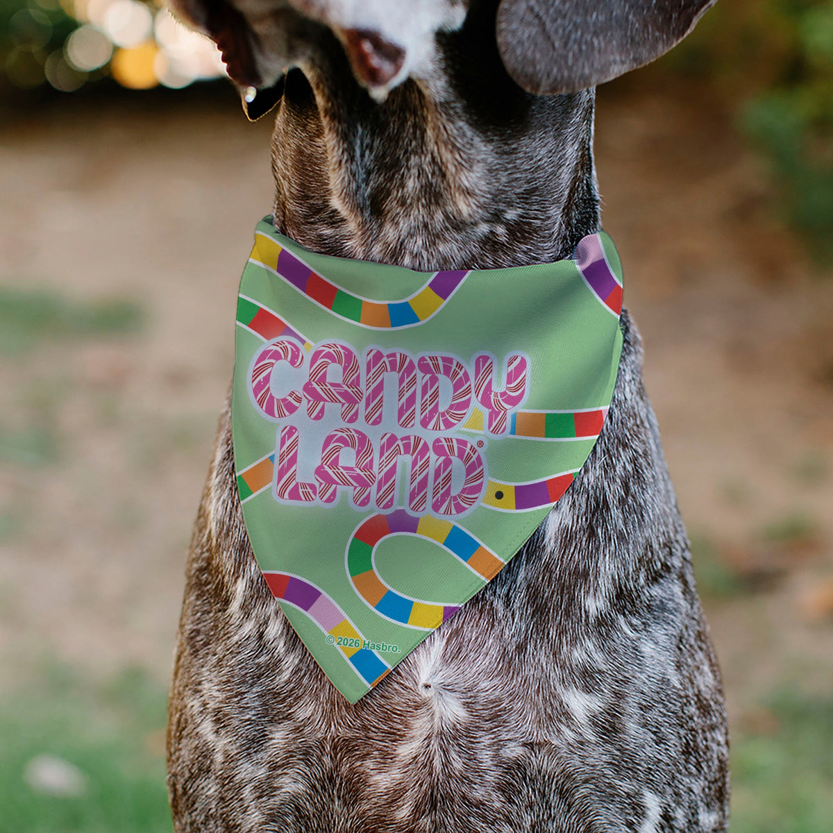 Pet Bandana - CANDY LAND Game Board Game Scenes and Logo