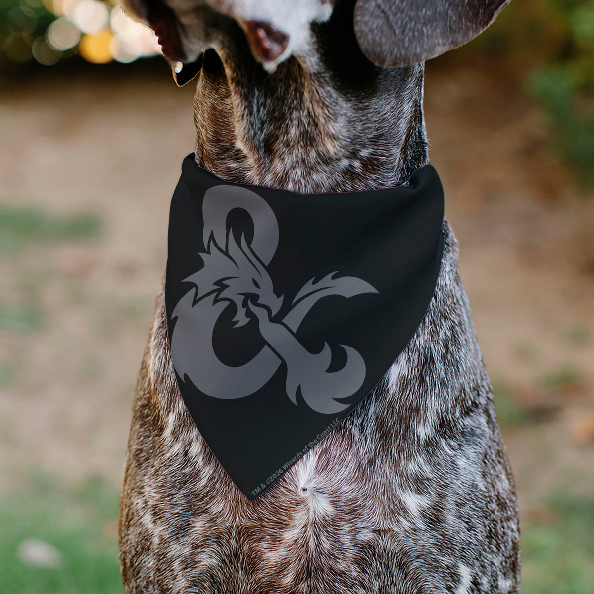 Pet Bandana - Dungeons & Dragons Dice Scattered and Ampersand Logo Dark Gray