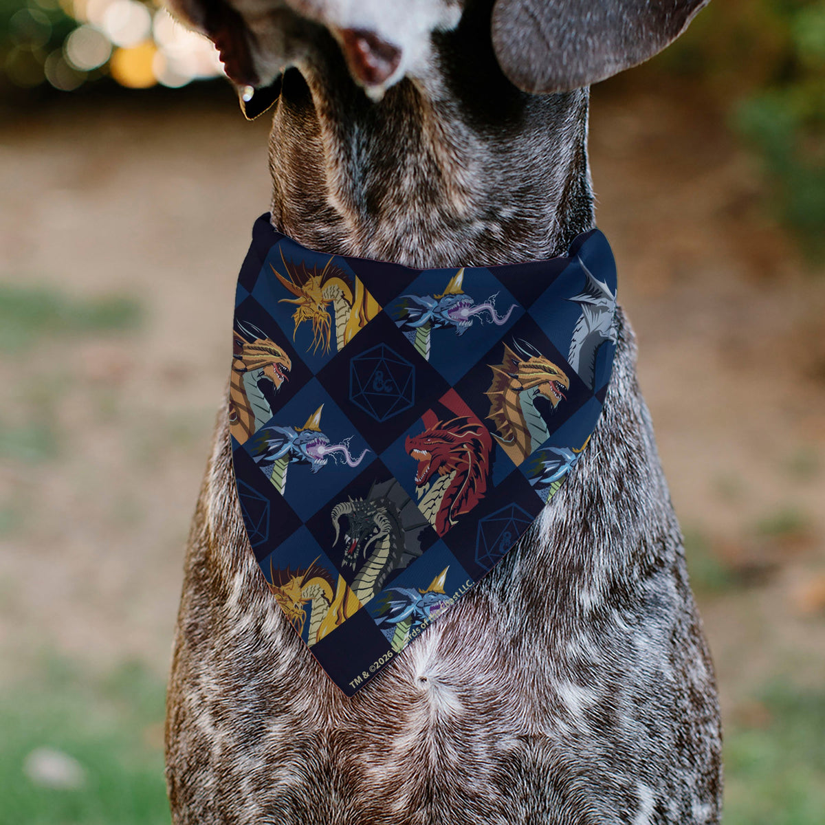 Pet Bandana - Dungeons & Dragons True Dragon Blocks Blues