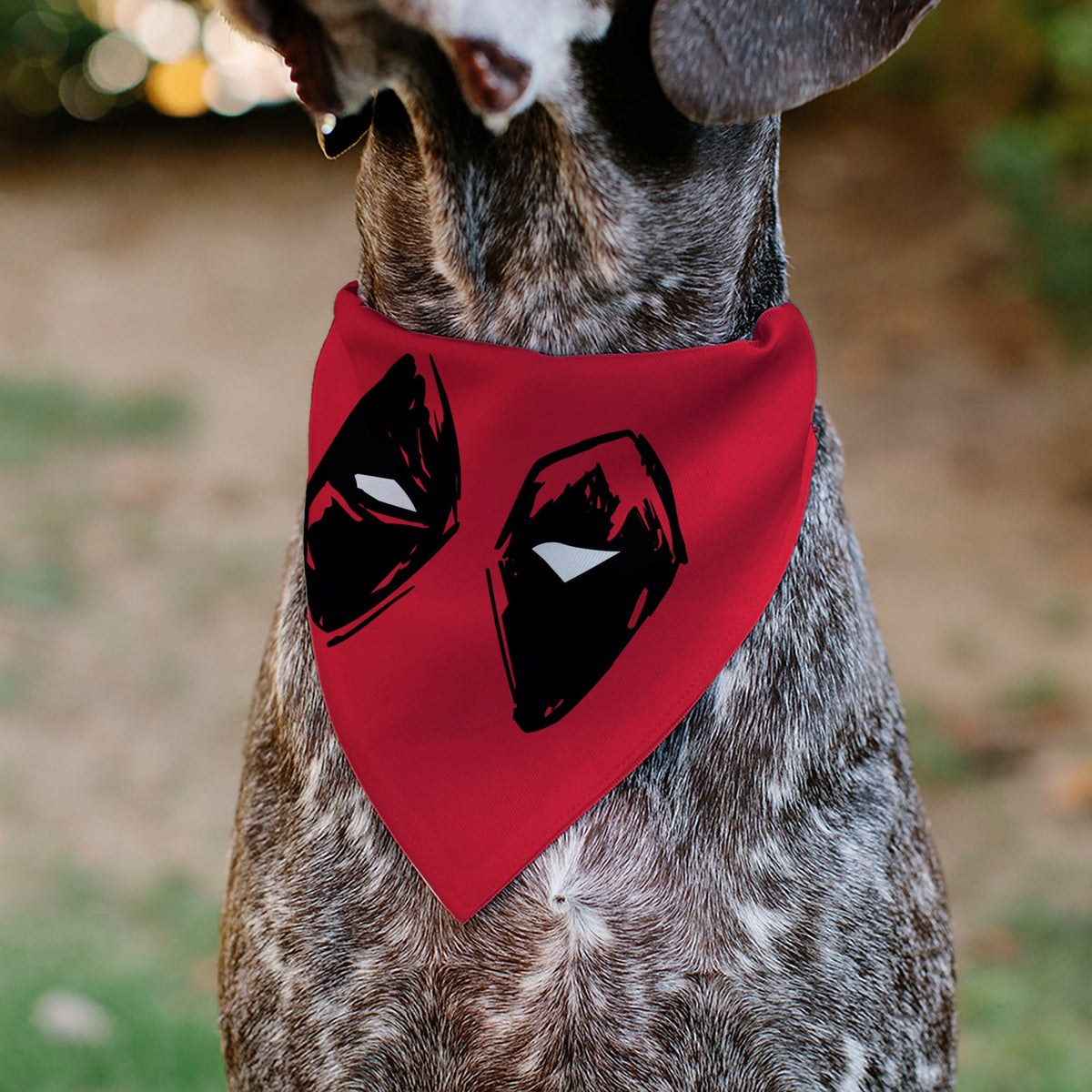 Pet Bandana - Deadpool Eyes Sketch Red/Black