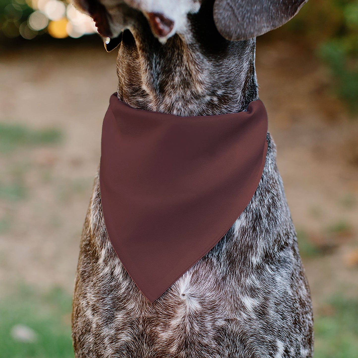 Pet Bandana - RAM CHARGER Americana Browns/Black