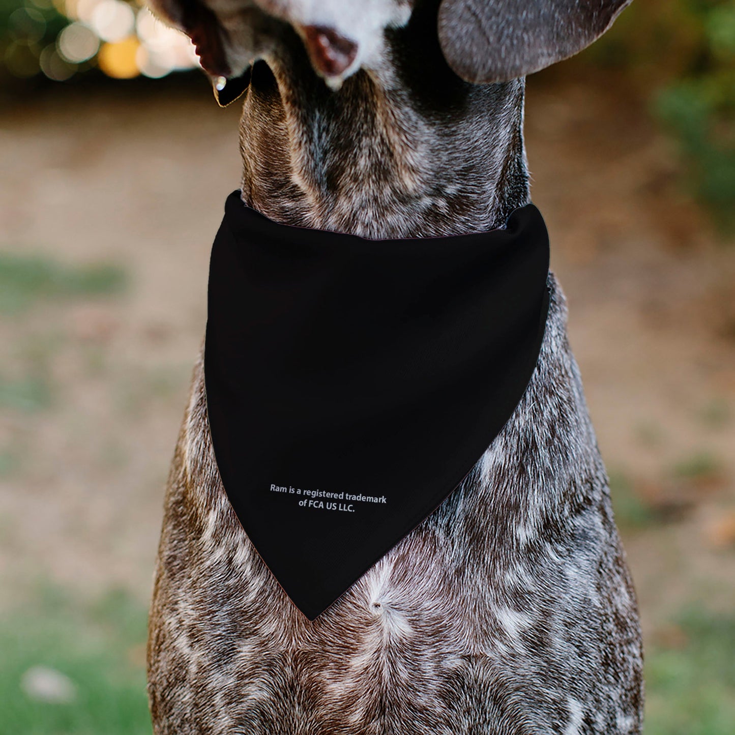 Pet Bandana - RAM Americana Stars and Stripes Black/Camo Olive
