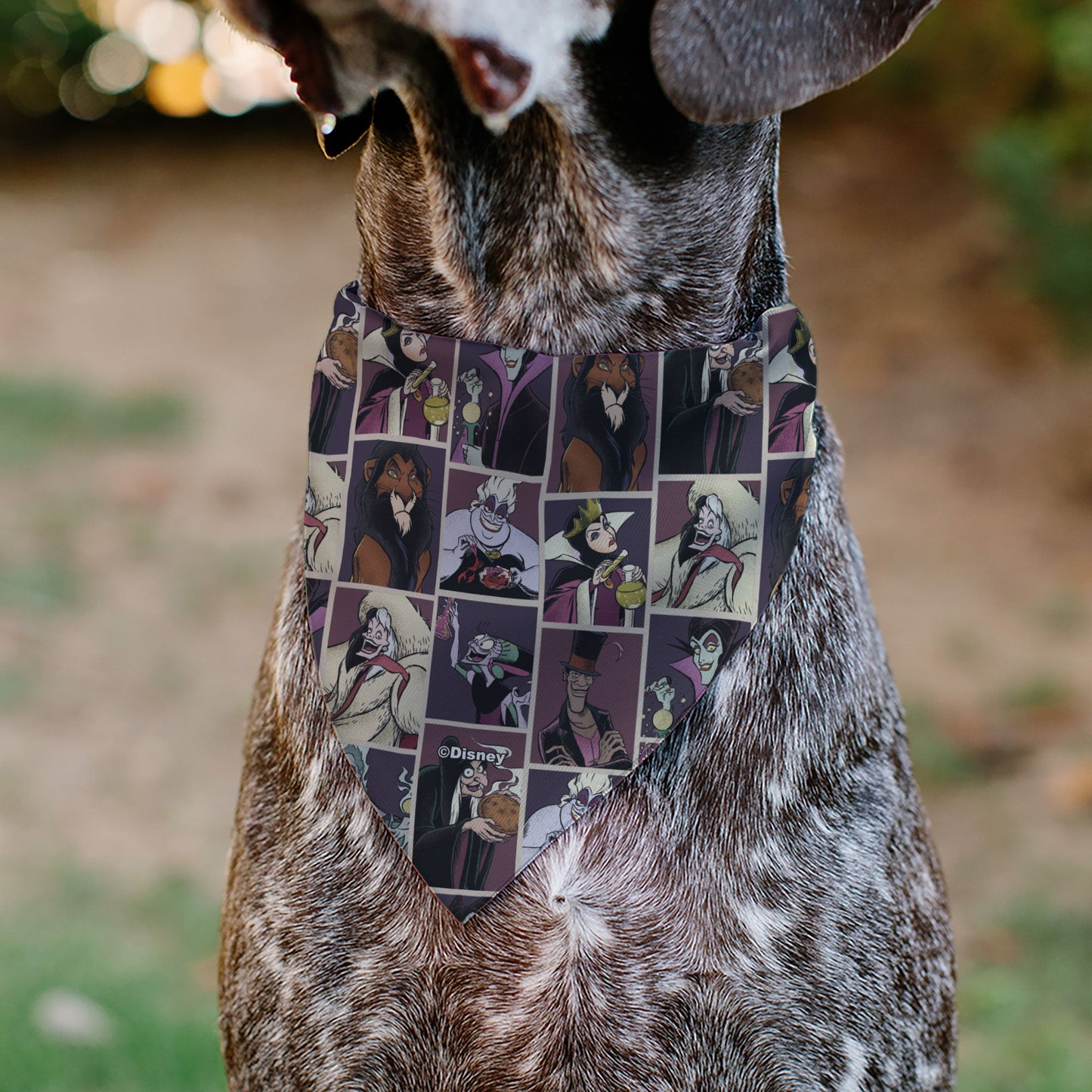 Pet Bandana - Disney Villains Pose Blocks